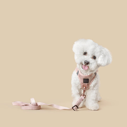 3-in-1 City Dog Leash - Blush