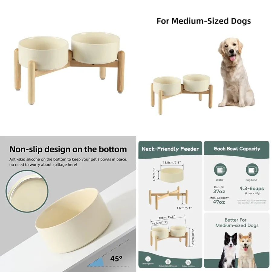 Raised Double Dog Bowl Set with Stand | Elevated Food & Water Bowls | Non-Slip | Medium Dogs