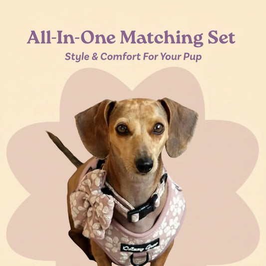 No-Pull Dog Harness & Collar Set