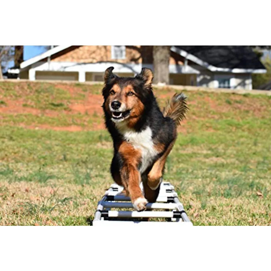 Dog Agility Training Ladder | Footwork & Coordination Exercise | Indoor & Outdoor