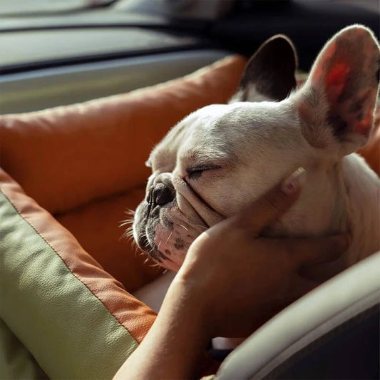 Foldable Dog Car Seat Bed | Anti-Slip, Thickened PP Cotton | Dual-Use Home & Travel