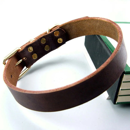 Heavy Duty Real Leather Dog Collar | Rust-Proof Metal Hardware | Puppy to Large Dog