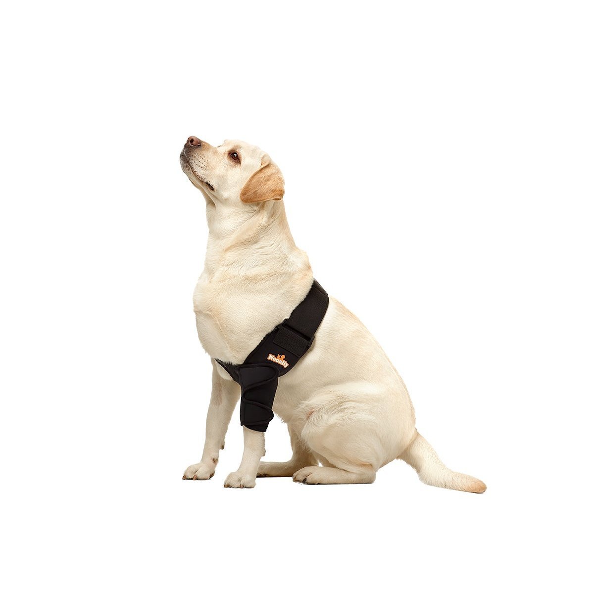 NeoAlly Dog Elbow & Shoulder Brace — Veterinarian Designed Joint Support | Left, Right, or Both Legs