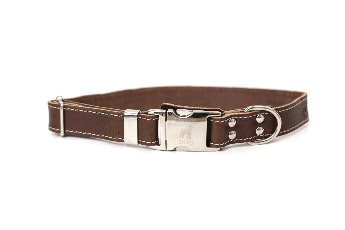 Quick-Release Leather Dog Collar and Leash Set