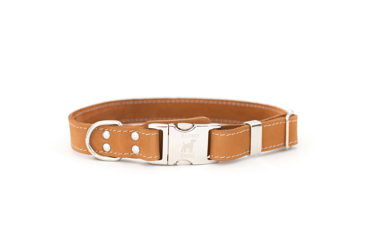 Quick-Release Leather Dog Collar and Leash Set
