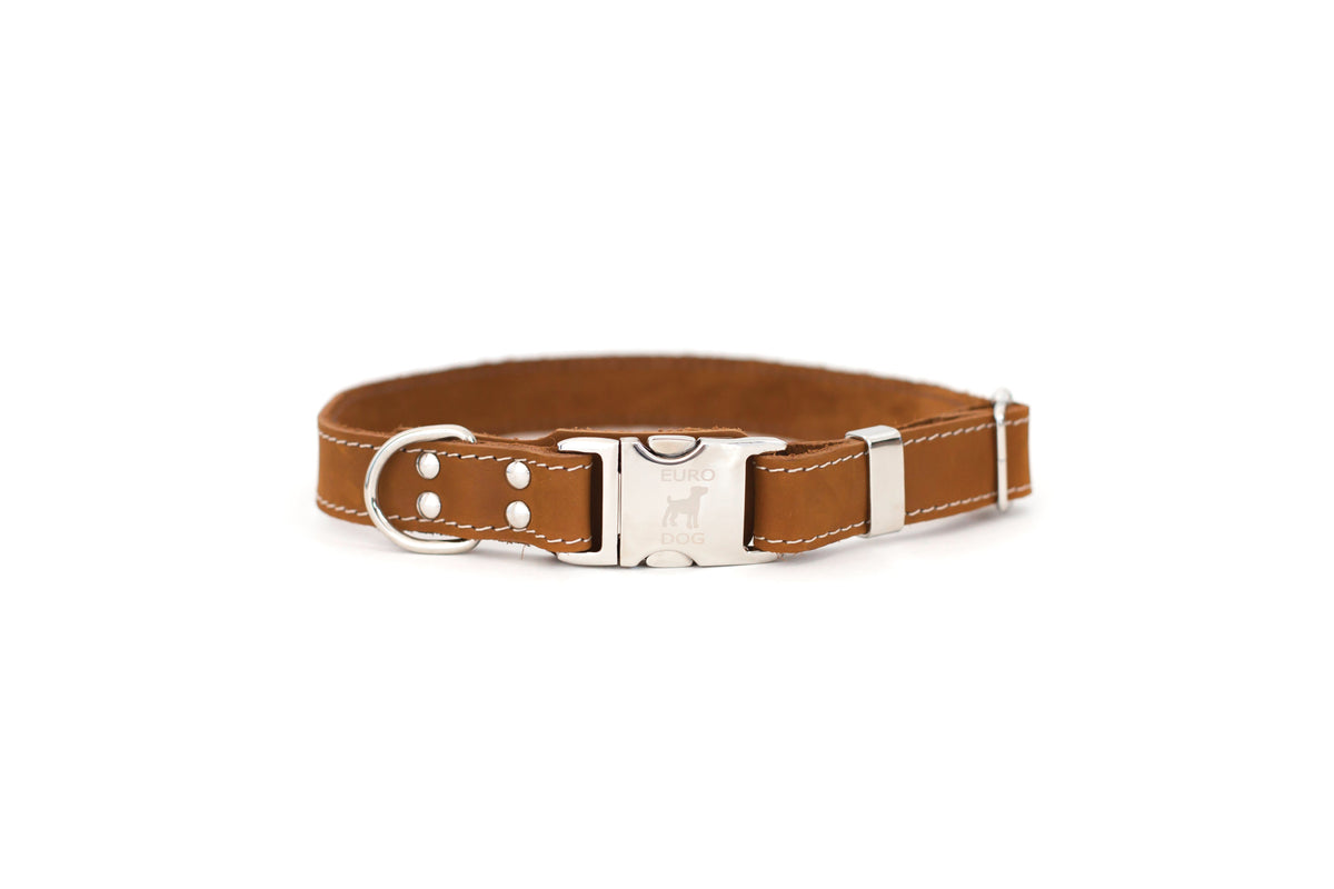 Quick-Release Leather Dog Collar and Leash Set