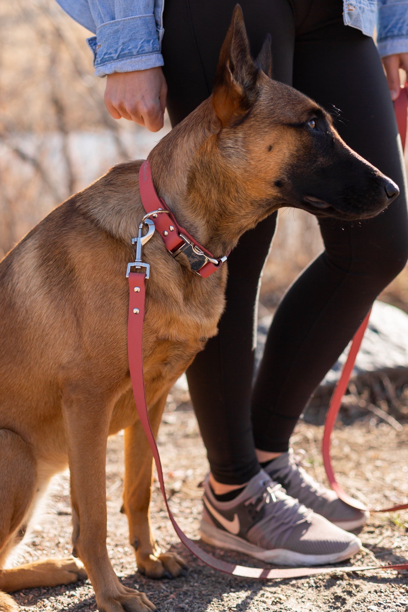 Modern Style Quick-Release Leather Dog Collar