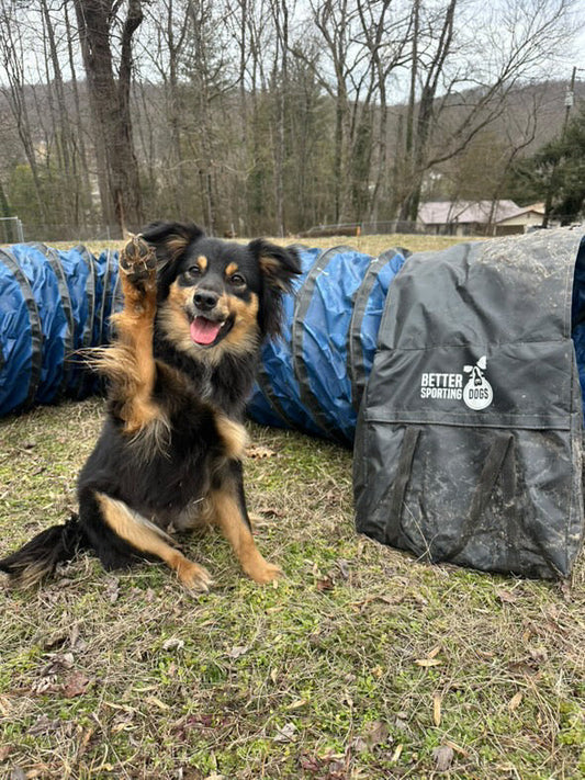 Better Sporting Dogs Heavy Duty Dog Agility Tunnel | 16 ft | PVC with Sandbags