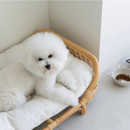 Rattan Dog Bed & Kennel | Natural Wood, Cushion Included | Small & Medium Dogs