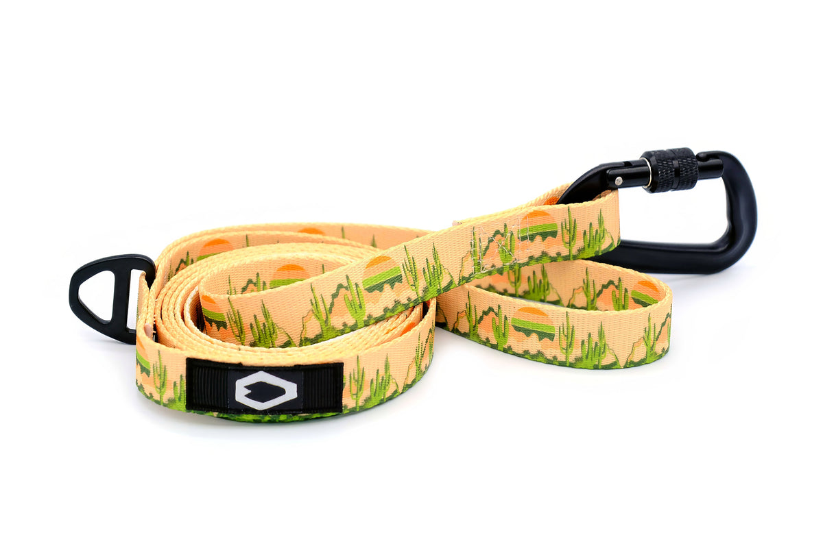 Outdoor Style Nylon Dog Collar and Leash Set