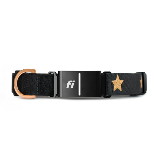 The DOGISTRY x Fi Rockstar 3+ Collar Band