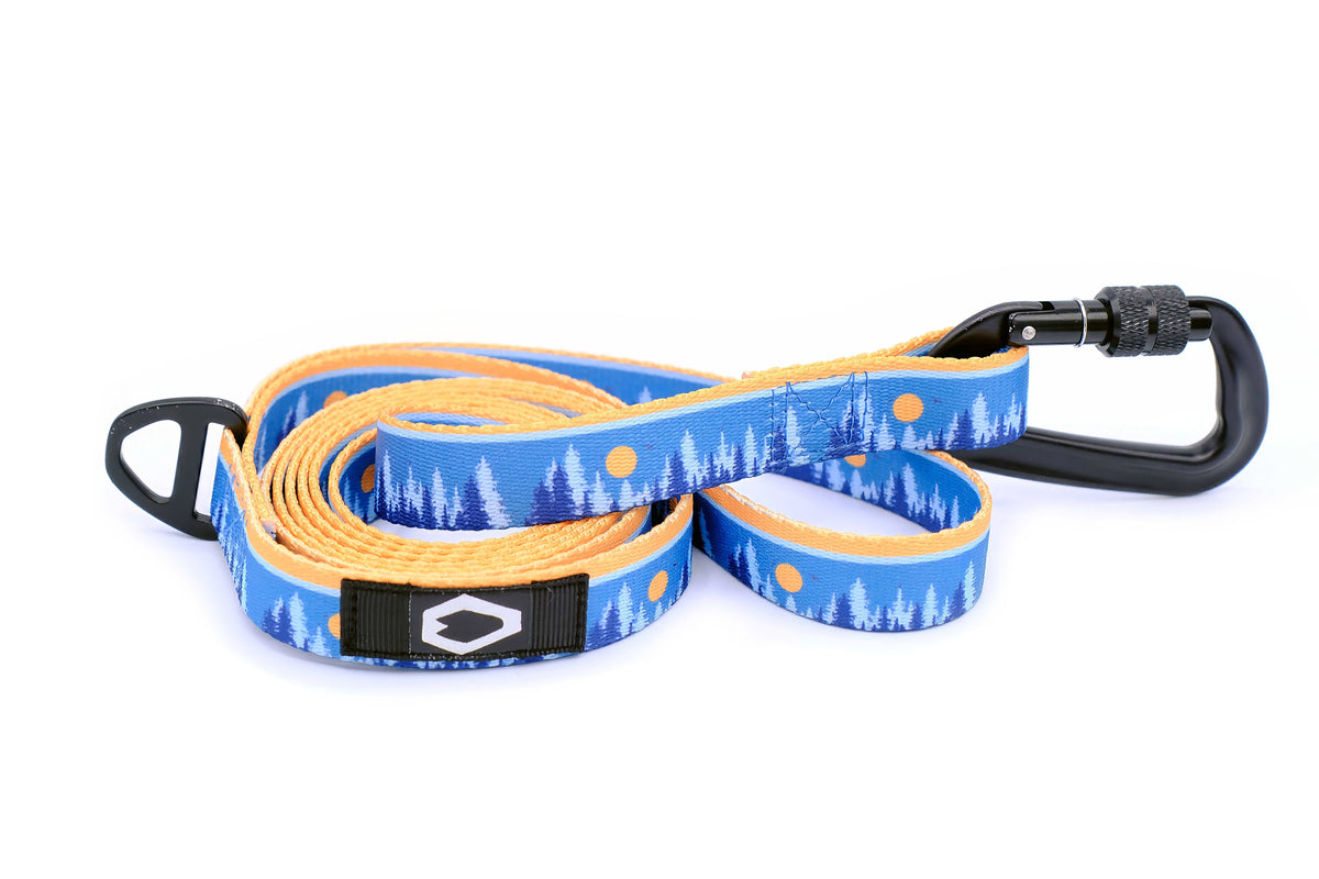 Outdoor Style Nylon Dog Collar and Leash Set