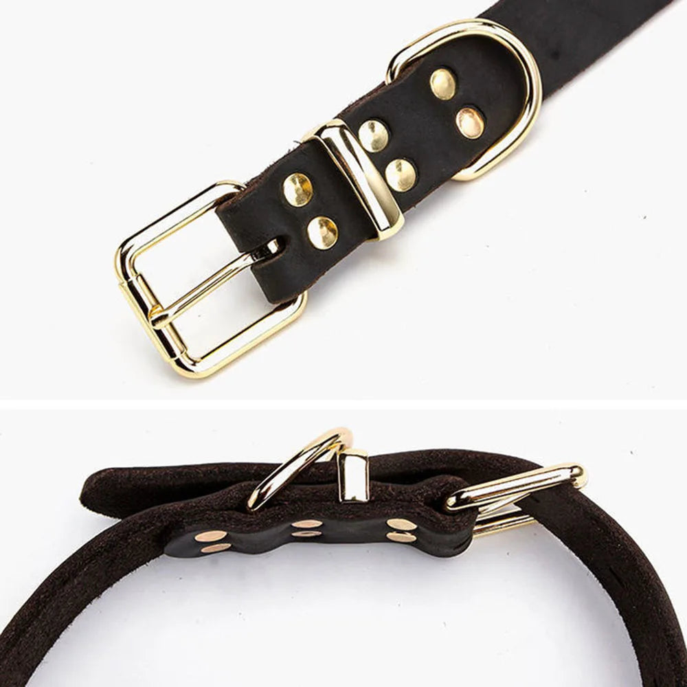 Genuine Leather Dog Collar with Gold Alloy Buckle — Adjustable, D-Ring, All Sizes