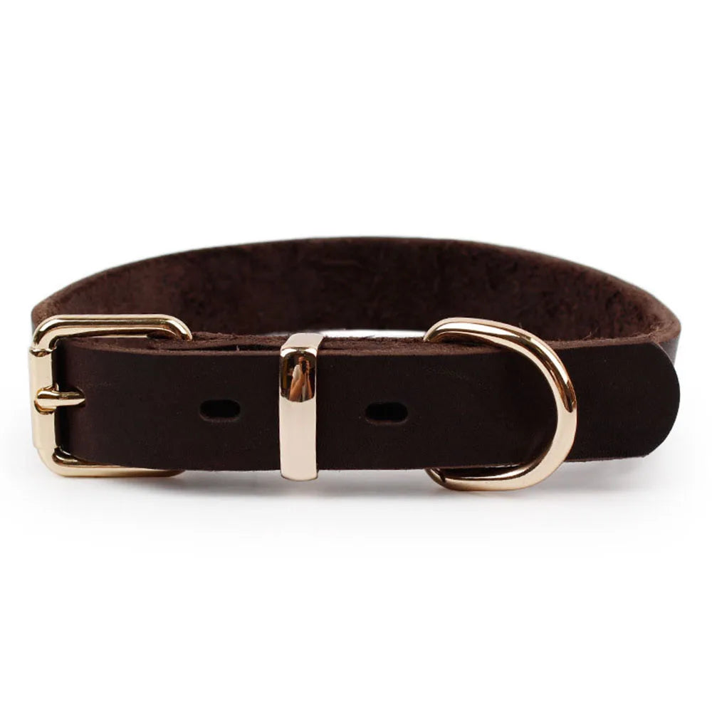 Genuine Leather Dog Collar with Gold Alloy Buckle — Adjustable, D-Ring, All Sizes