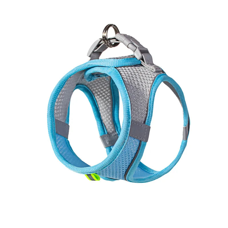 Puppy Harness & Leash Set | Adjustable Vest for French Bulldogs, Chihuahuas & Small Dogs