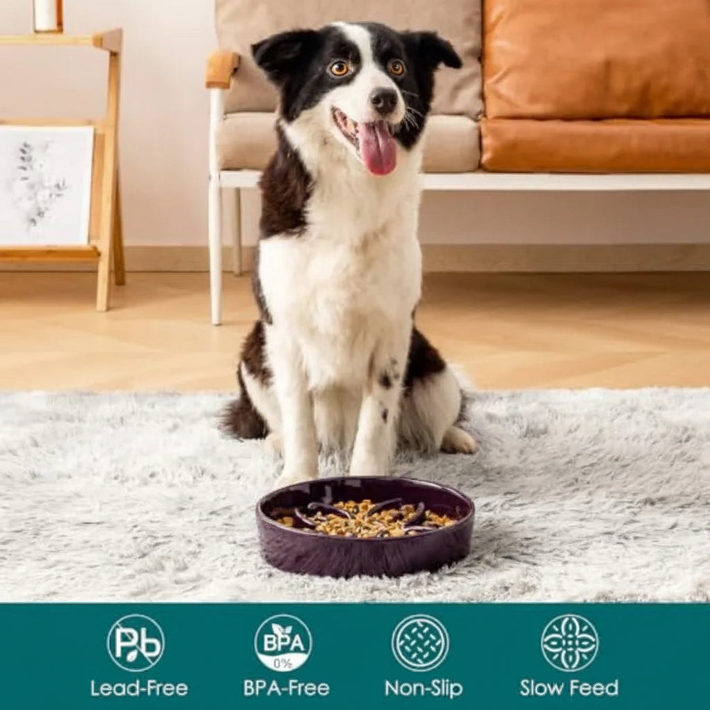 Ceramic Slow Feeder Puzzle Dog Bowl | Floral Maze | Anti-Slip | Large Breeds | 3 Cups