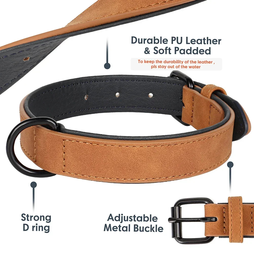 Soft Padded Genuine Leather Dog Collar | 2-Pack | 7 Colors | S–XXL | Large Breeds