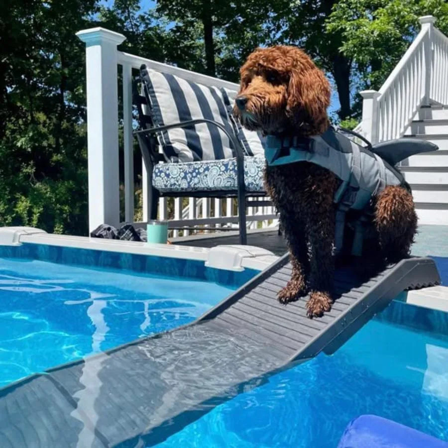 Dog Pool Ramp | Standard Legs | Graphite | Small & Large Dogs | Above & In-Ground Pools