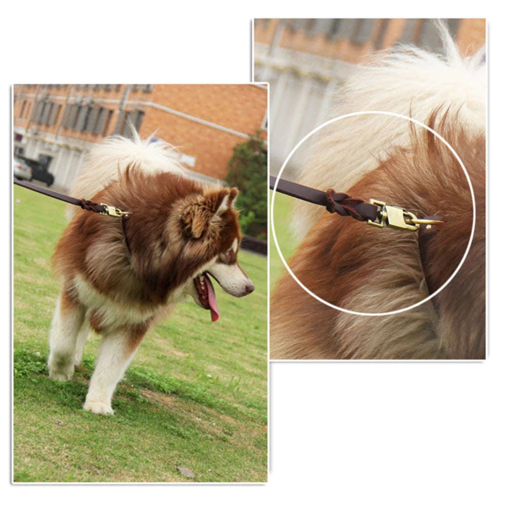 Heavy Duty Real Leather Dog Leash — Hand-Stitched or Braided | 90, 120 & 150cm