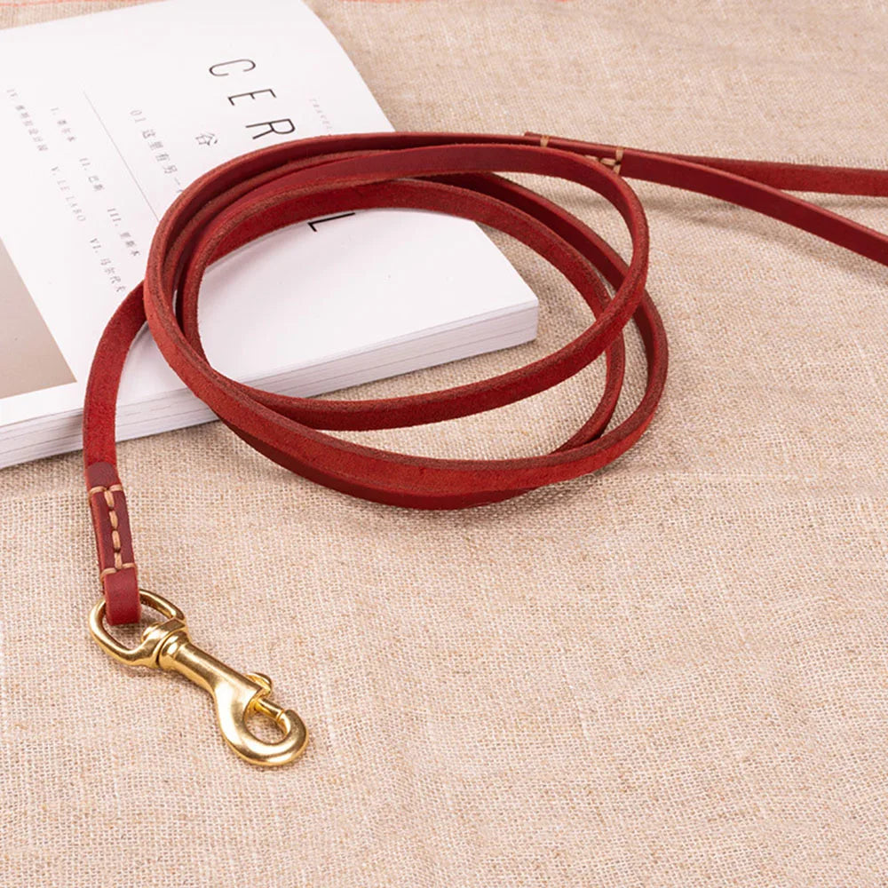 Full-Grain Leather Dog Leash | Training & Walking Leash for Small & Medium Dogs