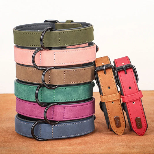 Soft Padded Genuine Leather Dog Collar | 2-Pack | 7 Colors | S–XXL | Large Breeds