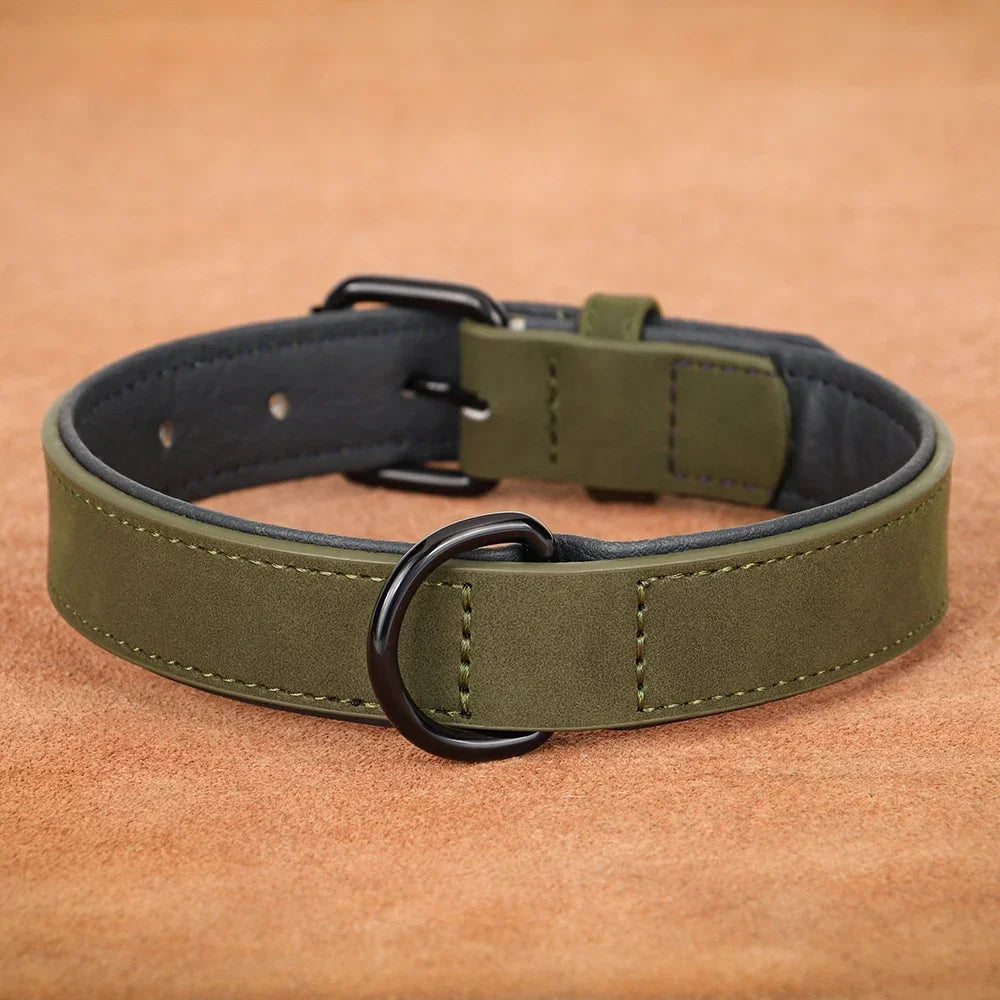 Soft Padded Genuine Leather Dog Collar | 2-Pack | 7 Colors | S–XXL | Large Breeds