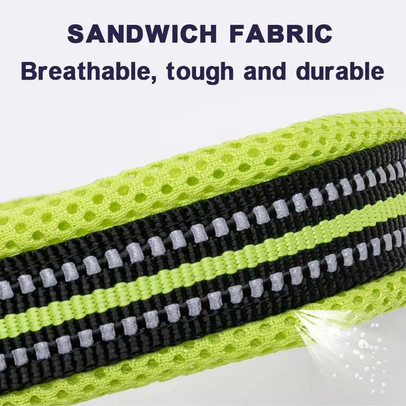 Padded Nylon Dog Collar | Duraflex Buckle | 3M Reflective | 7 Colors | XXS–XXXL