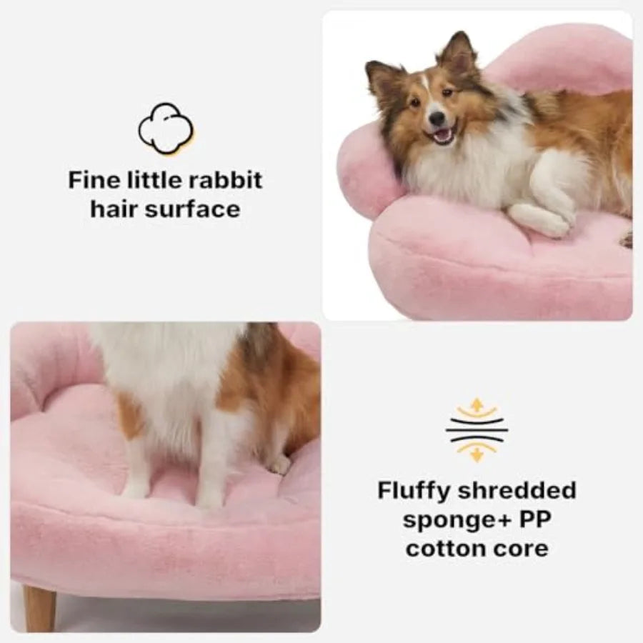 Elevated Dog Sofa Bed | Sturdy Wood Legs | Washable Cover | Small & Medium Dogs