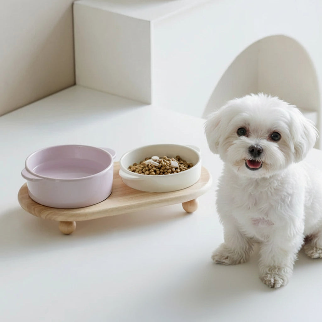 Height-Adjustable Ceramic Dog Bowl | Wooden Stand | Single & Double | 3 Colors | 350ml & 700ml