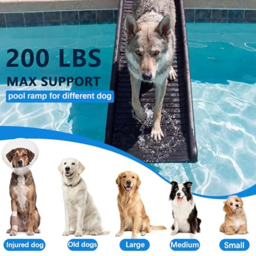 61-Inch Dog Pool Ramp | Foldable, Non-Slip | 20-Inch Support Legs | 200 lbs | Above & In-Ground Pools