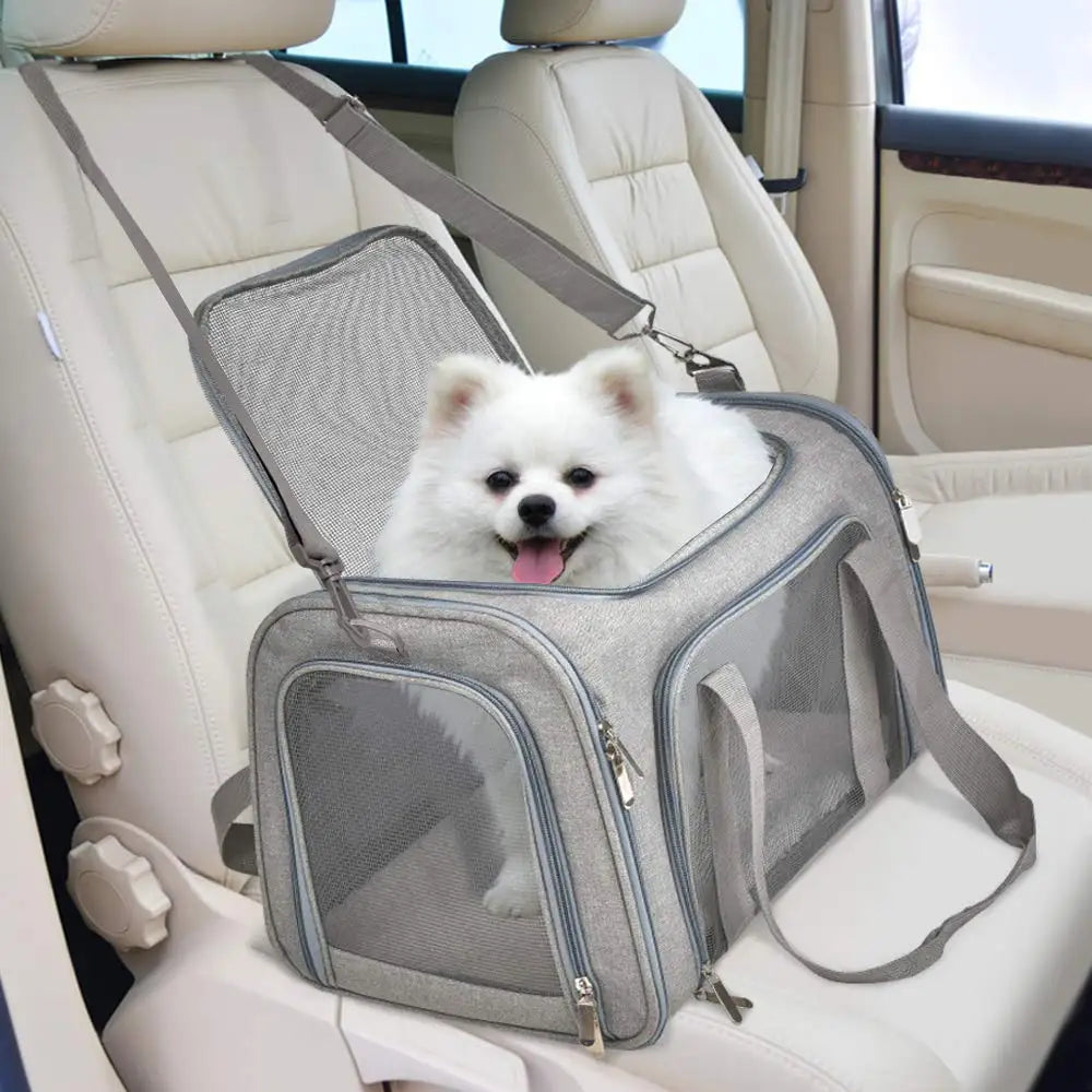 Airline-Approved Dog Carrier Bag — Soft-Sided Backpack with Fleece Pad | M & L