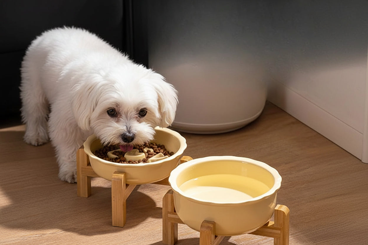 Ceramic Slow Feeder Dog Bowl | Anti-Overturn | Neck Protection | Anti-Choking | Flat Mouth Design