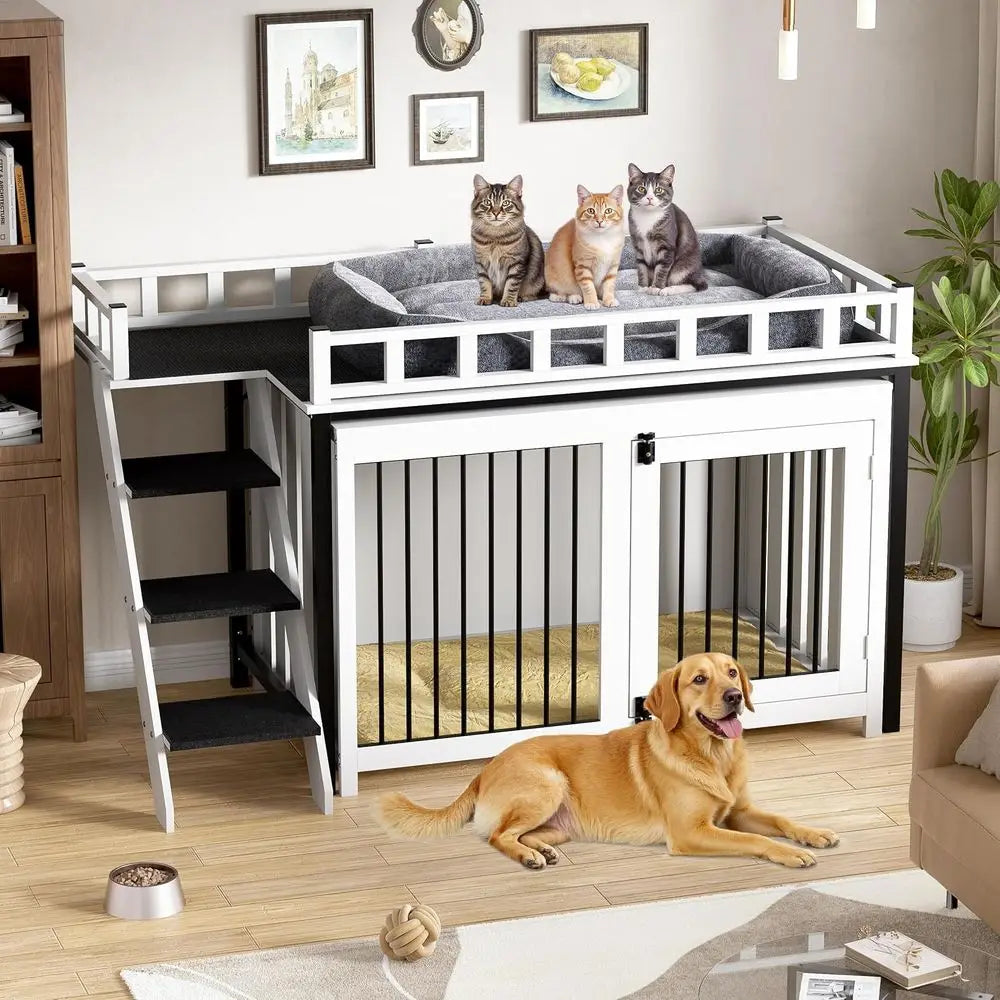 Dog Bunk Bed with Stairs & Storage | Small to Medium Dogs | 55" × 28" × 37"