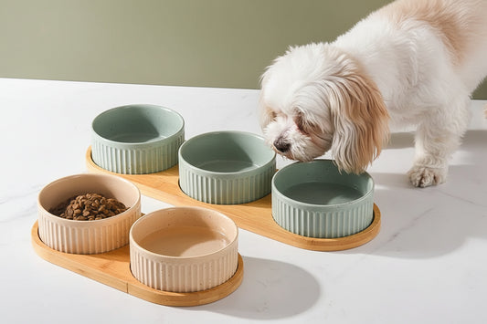 Nordic Ceramic Dog Bowl Set | Single, Double & Triple | Wooden Tray | 3 Colors | 400ml & 850ml