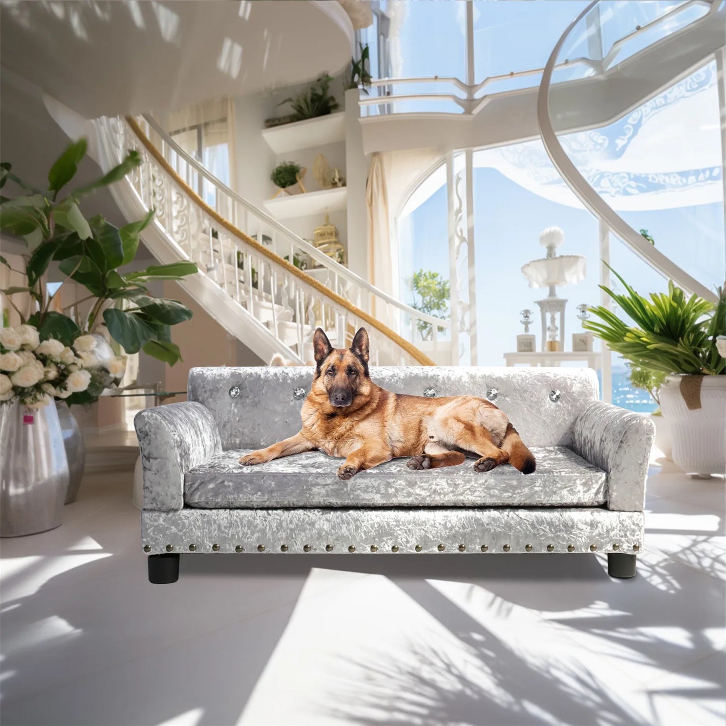 Jumbo Tufted Dutch Velvet Dog Sofa | Large & Extra-Large Dogs