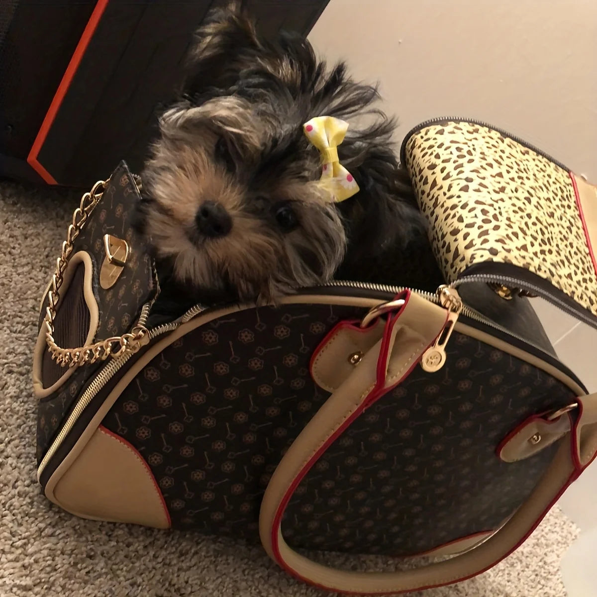 Luxury Pet Carrier Bag | Travel Tote for Small Dogs & Cats
