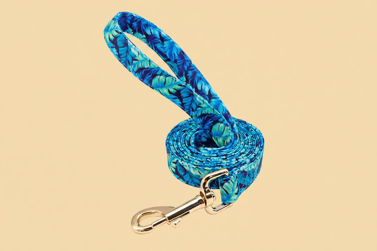 Personalized Dog Collar & Leash Set