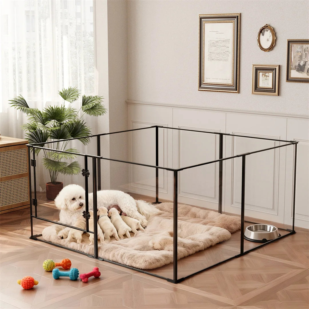 8-Panel Clear Acrylic Dog Playpen | 5th Gen | 3mm Thick | 2 Heights | Indoor | Up to 44lbs