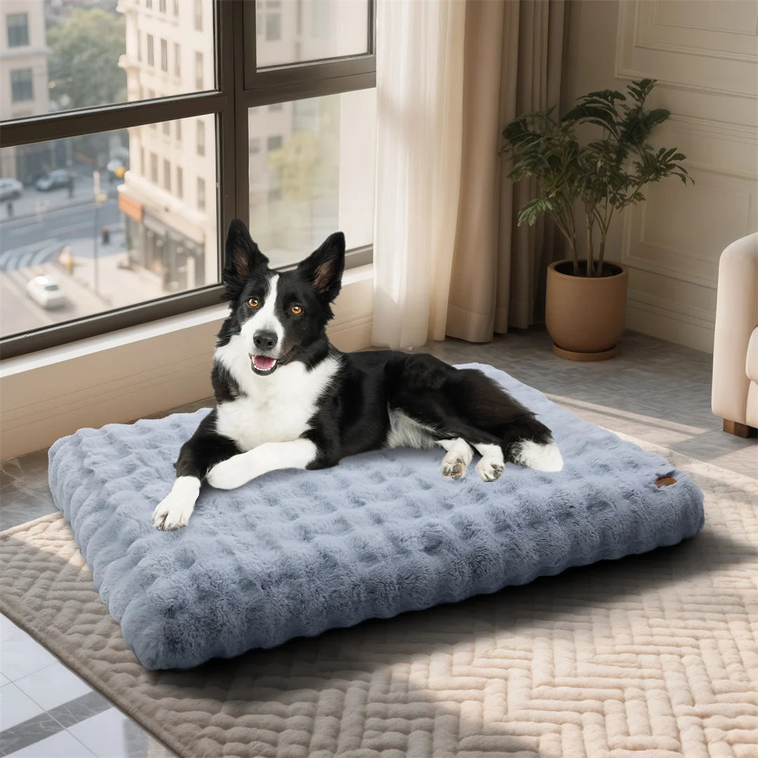 Ultra-Soft Calming Dog Bed | Removable Machine-Washable Cover | Cozy Pet Cushion | Dogs & Cats