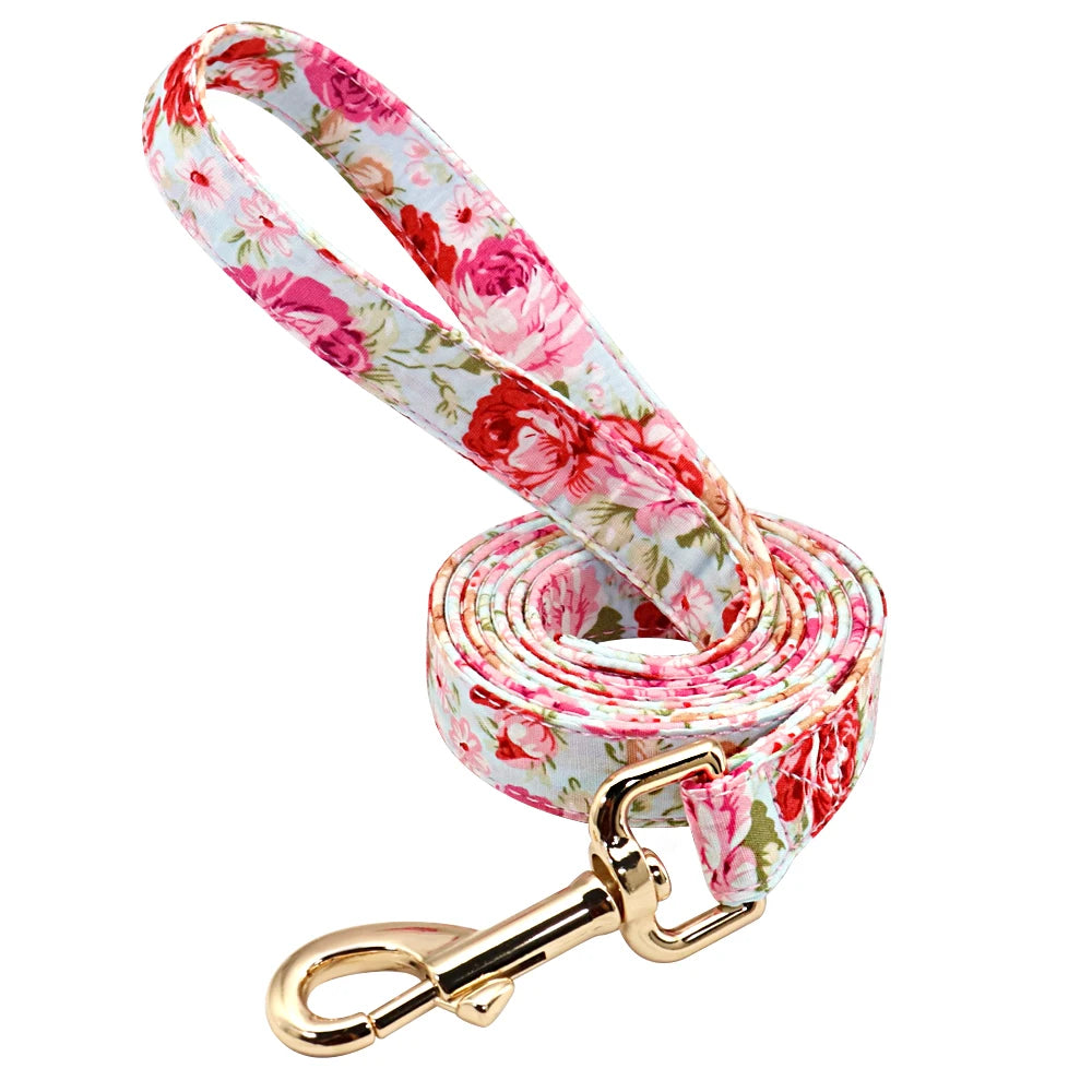 Personalized Dog Collar & Leash Set