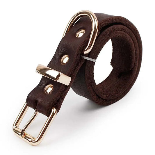 Brown Genuine Leather Dog Collar | Classic Style | Heavy Duty | Adjustable | Small to Large Breeds
