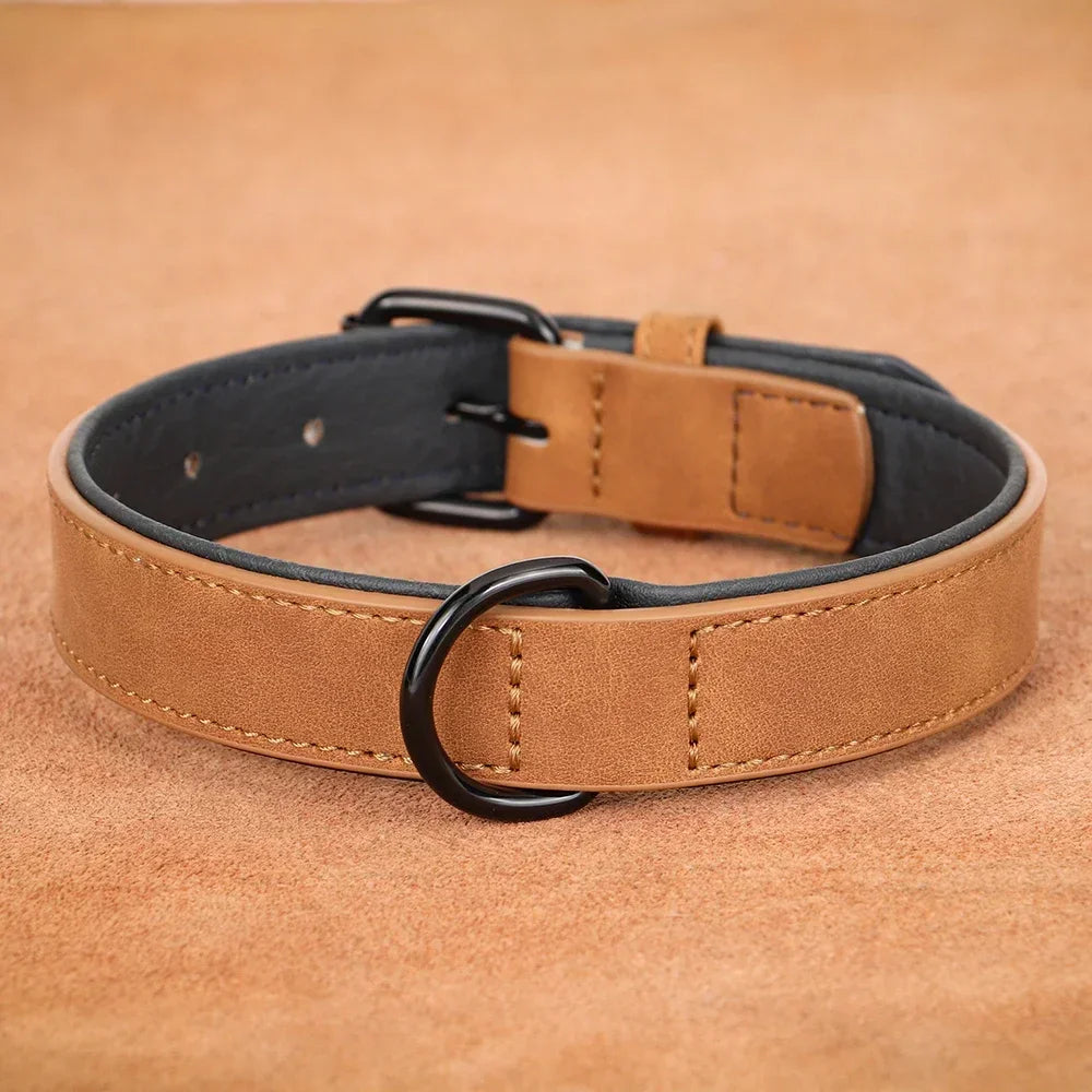 Soft Padded Genuine Leather Dog Collar | 2-Pack | 7 Colors | S–XXL | Large Breeds