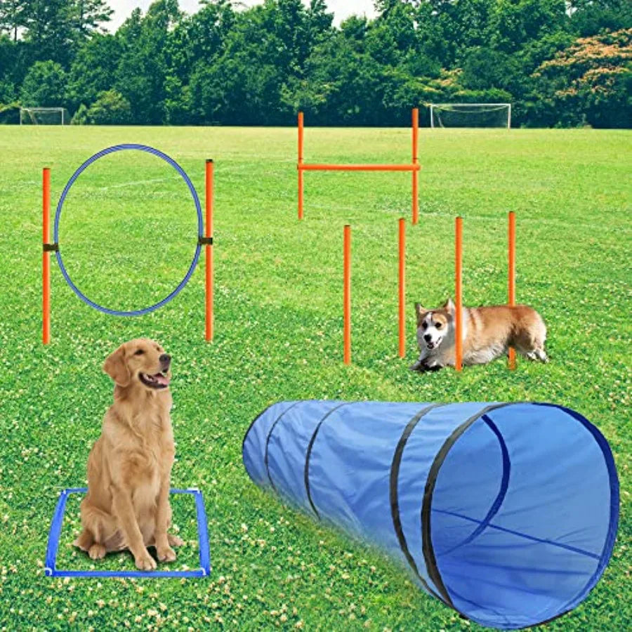 Dog Agility Training Starter Kit | Tunnel & 13 Weave Poles | Adjustable Obstacle Course
