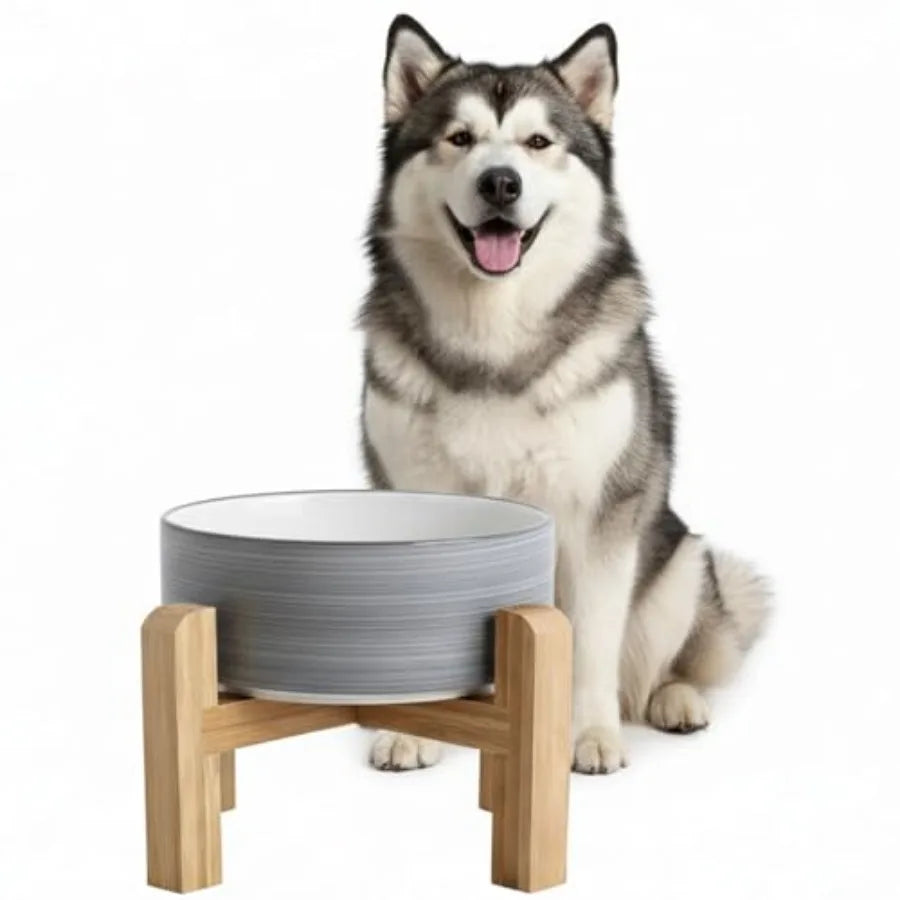 Elevated Ceramic Dog Bowl with Bamboo Stand | Modern Design | Anti-Slip | Small to Medium Dogs