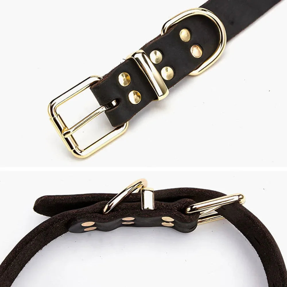 Brown Genuine Leather Dog Collar | Classic Style | Heavy Duty | Adjustable | Small to Large Breeds