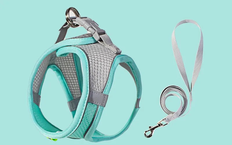 Puppy Harness & Leash Set | Adjustable Vest for French Bulldogs, Chihuahuas & Small Dogs