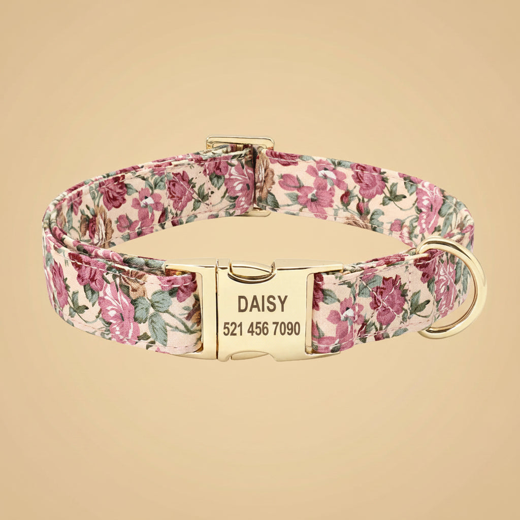 Personalized Dog Collar & Leash Set