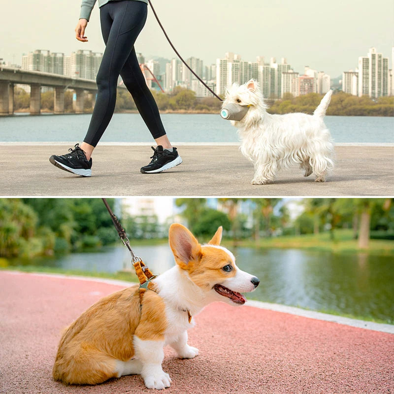 Lightweight Genuine Leather Dog Leash | Slim Soft Lead for Puppies & Small Dogs | Under 22lbs