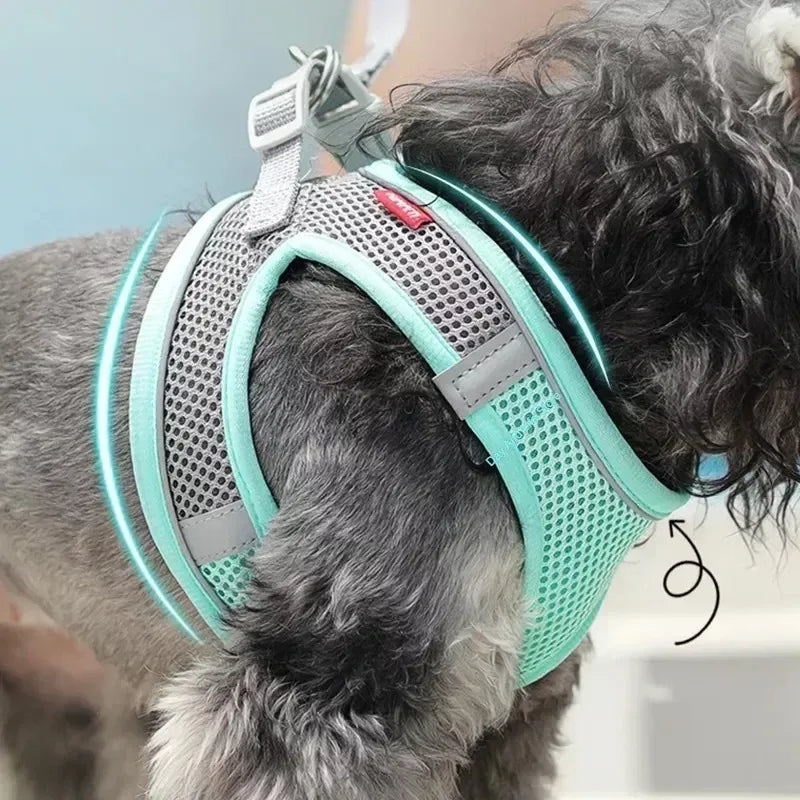 Puppy Harness & Leash Set | Adjustable Vest for French Bulldogs, Chihuahuas & Small Dogs