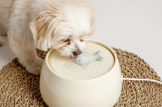 Ceramic Whale Dog Water Bowl | Automatic Circulating Dispenser | Stylish Pet Feeder
